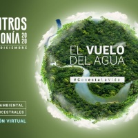 Ficamazonía le apuesta a campus virtual gratuito y nos transporta a la selva amazónica